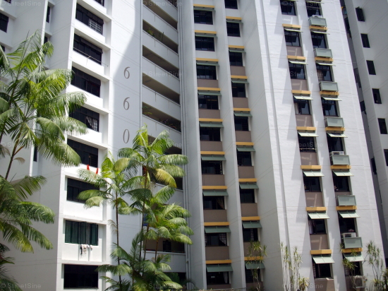 Blk 660 Choa Chu Kang Crescent (Choa Chu Kang), HDB 4 Rooms #65692
